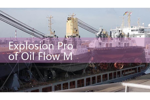 Explosion Proof Oil Flow Meter: Flameproof Housing Rules for Gas-Heavy Zones